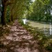 Canal du Midi 17.jpg