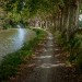 Canal du Midi 28.jpg