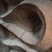 DSCN7933.jpg