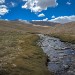 DSCN3167.jpg