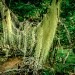DSCN4444.jpg