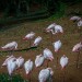 DSC02416.jpg