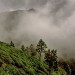 08 Bandarawela.jpg
